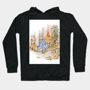 Peter Rabbit escapes Hoodie